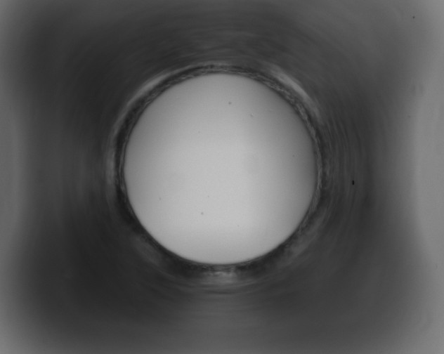 X0000100391315200806060825