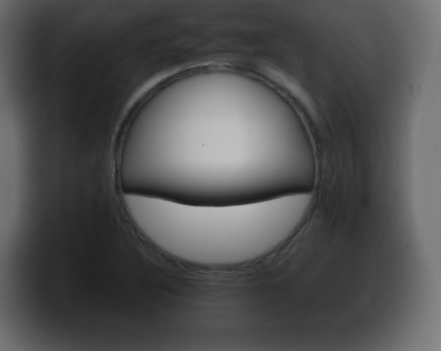 X0000100391316200806060825