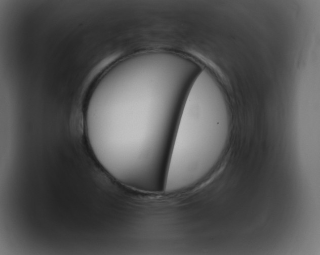 X0000100391317200806060825