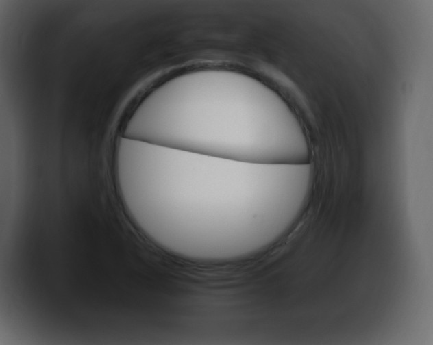 X0000100391318200806060825