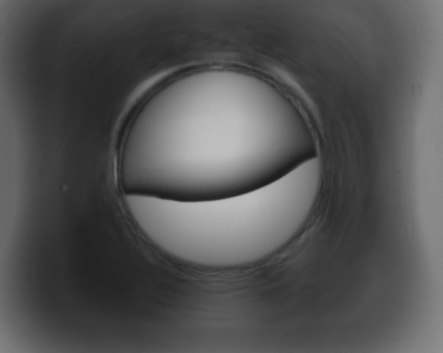 X0000100391320200806060825