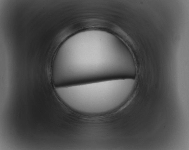X0000100391321200806060825