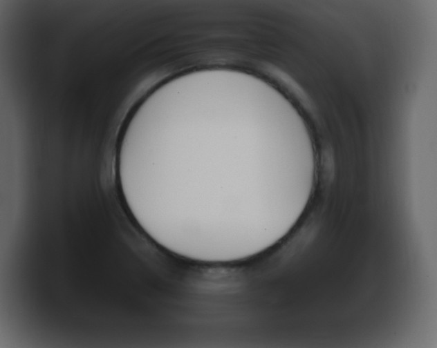 X0000100391322200806060825