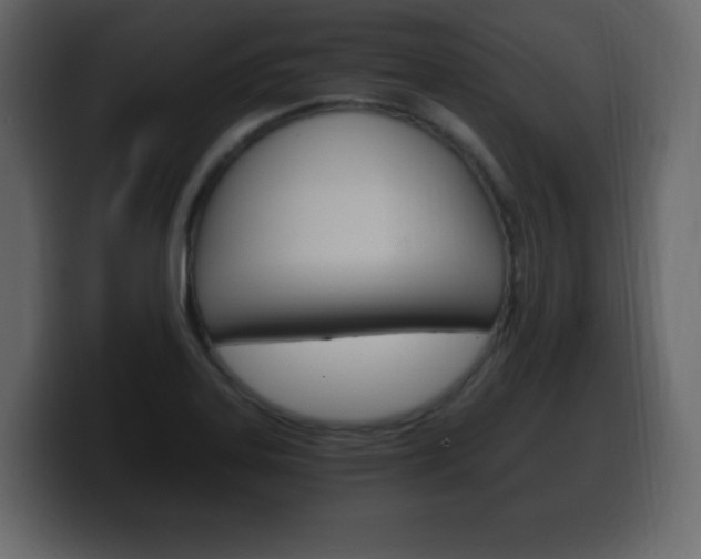 X0000100391323200806060825