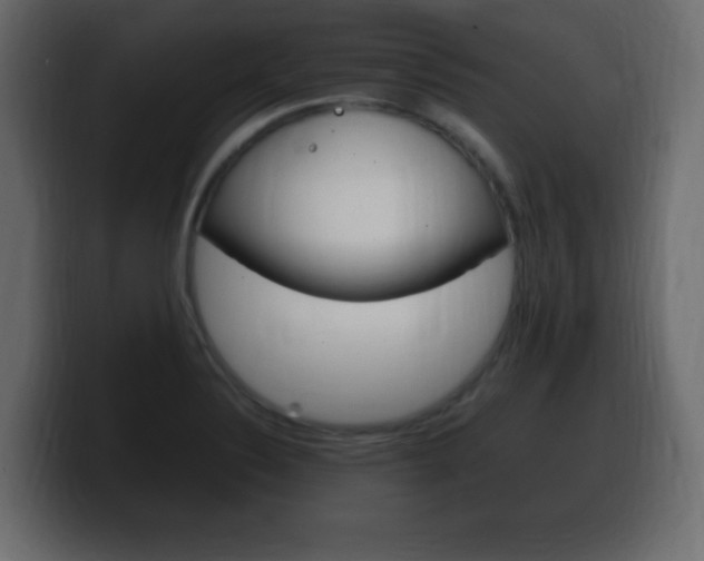 X0000100391324200806060825
