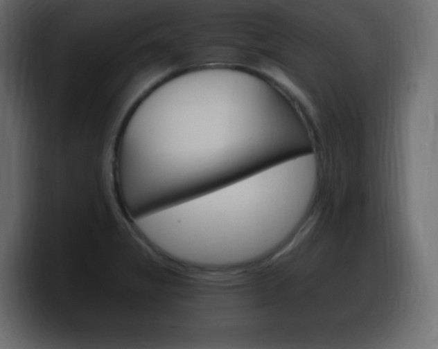 X0000100391325200806060825