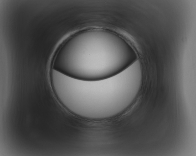 X0000100391326200806060825