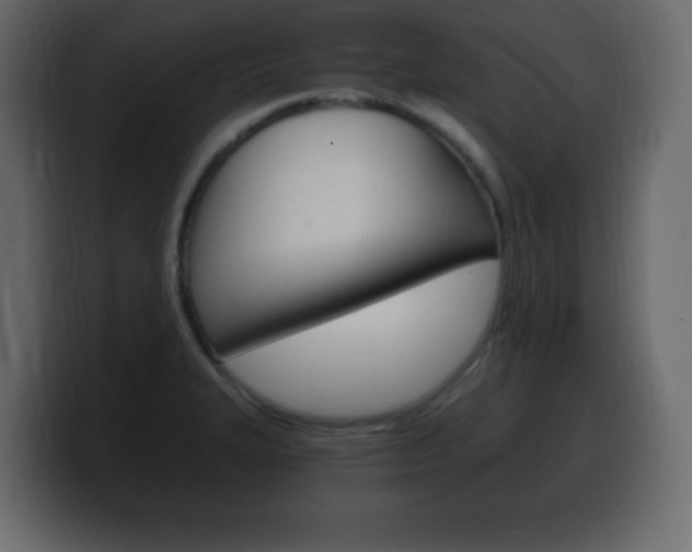X0000100391327200806060825