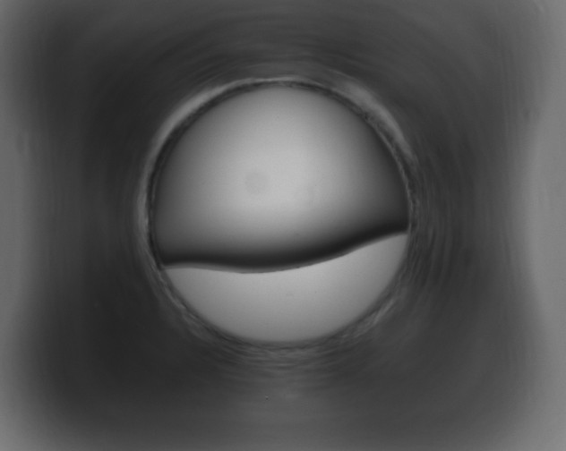X0000100391328200806060825