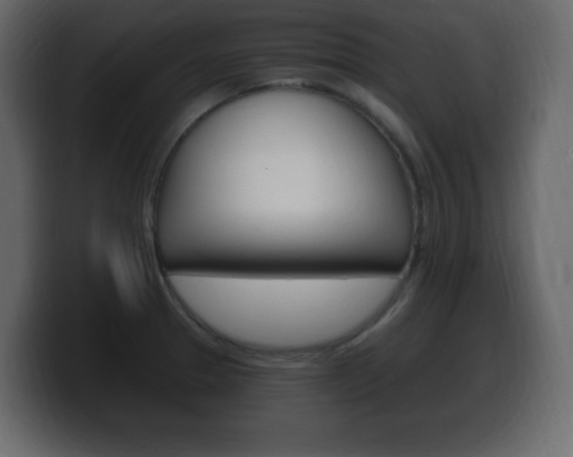 X0000100391329200806060825
