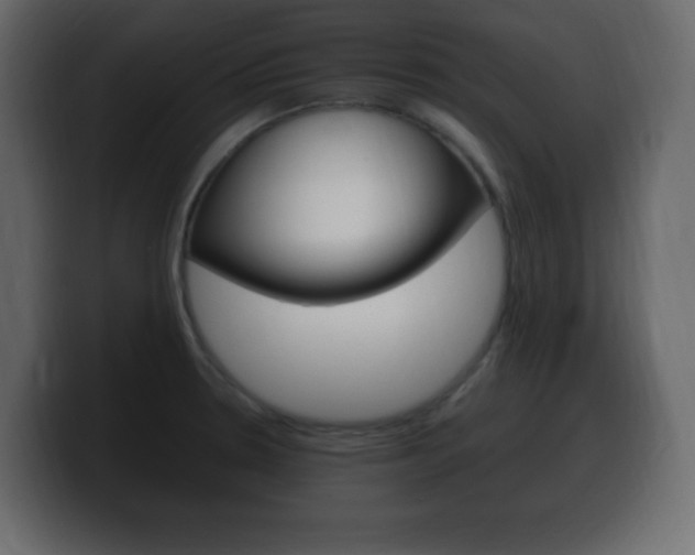 X0000100391330200806060825