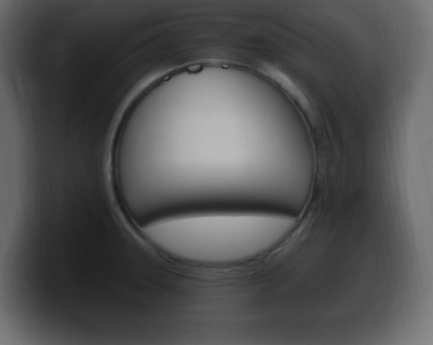 X0000100391331200806060825