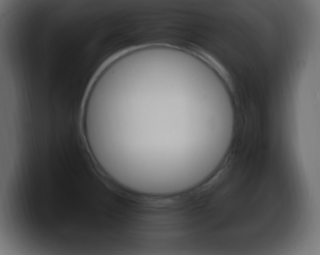 X0000100391332200806060825