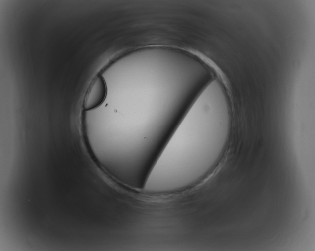 X0000100391333200806060825