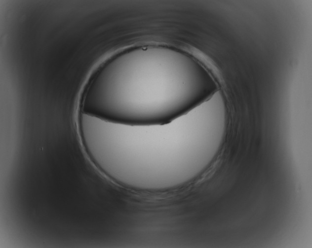 X0000100391334200806060826