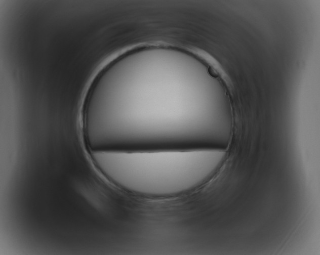 X0000100391335200806060826