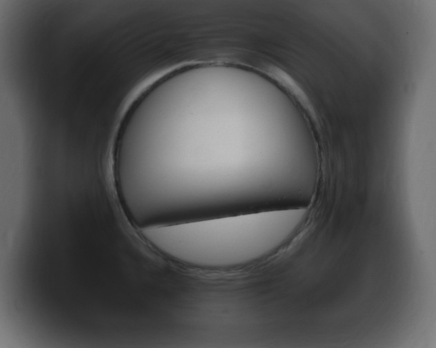 X0000100391336200806060826