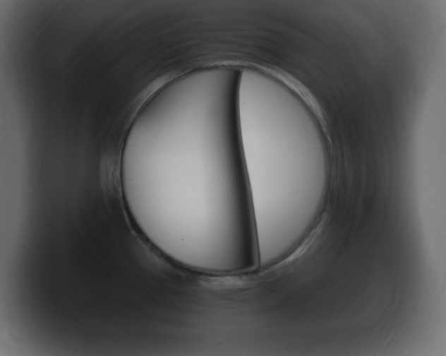 X0000100391337200806060826