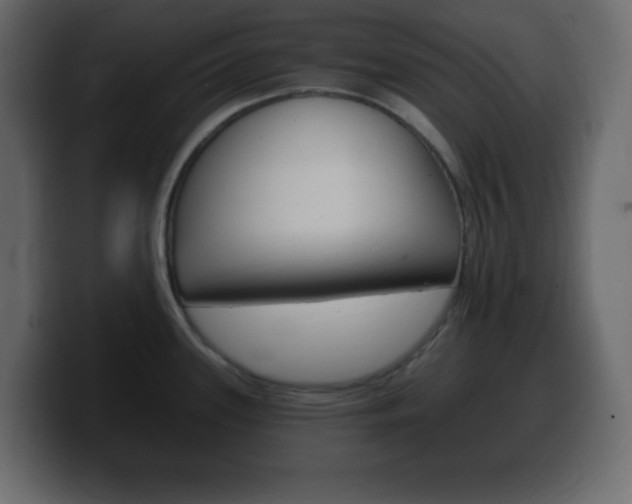 X0000100391339200806060826