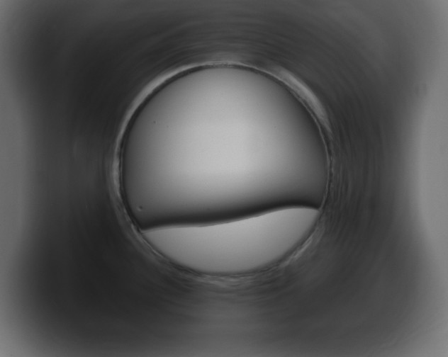 X0000100391340200806060826