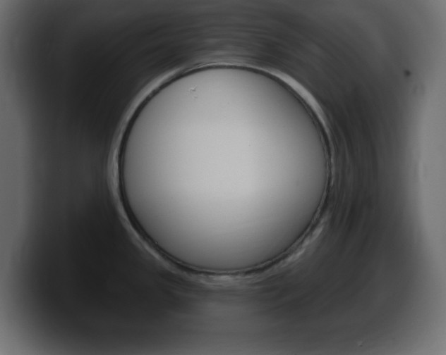 X0000100391341200806060826
