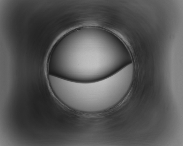X0000100391342200806060826