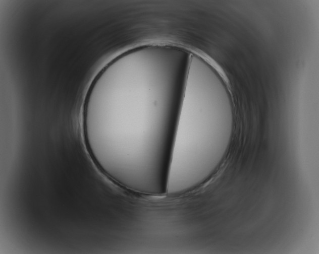 X0000100391343200806060826