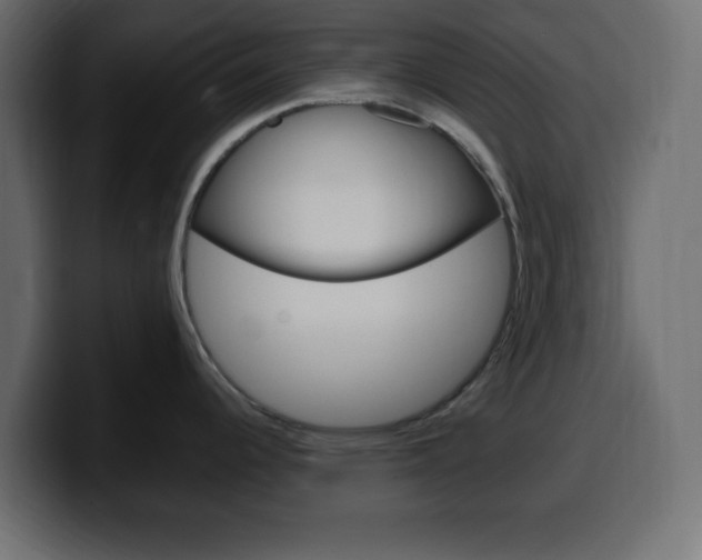 X0000100391344200806060826