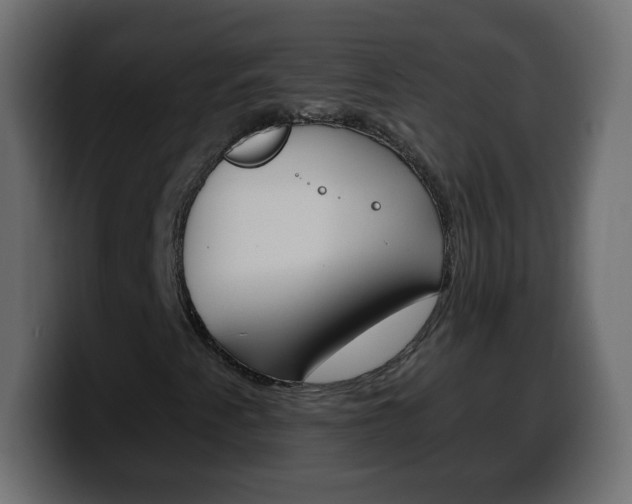 X0000100391345200806060825