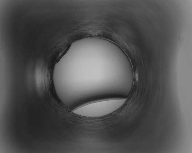 X0000100391347200806060825