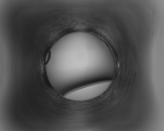 X0000100391348200806060825