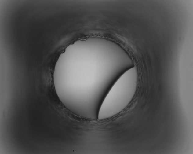 X0000100391350200806060825