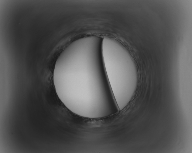 X0000100391351200806060825