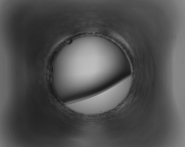 X0000100391352200806060825