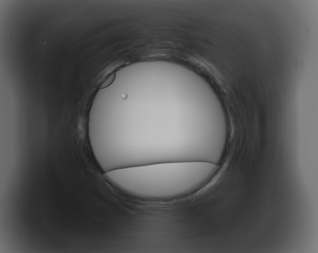 X0000100391353200806060825