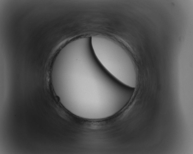 X0000100391355200806060825