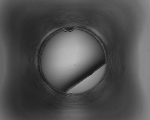 X0000100391356200806060825