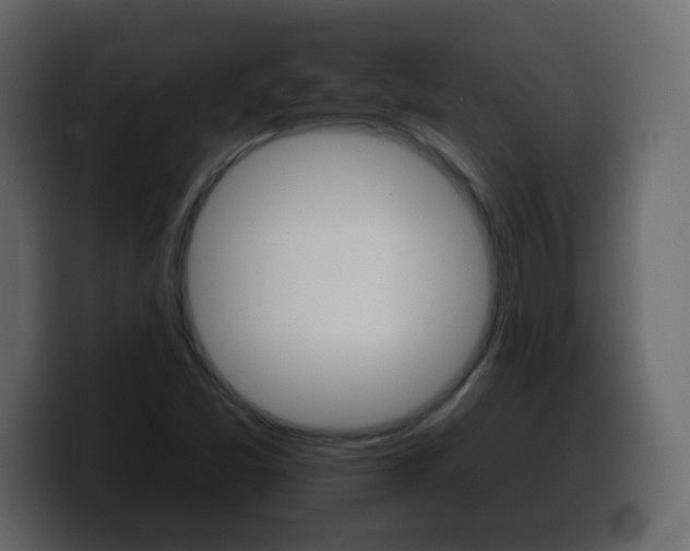 X0000100391357200806060825