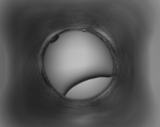 X0000100391358200806060825