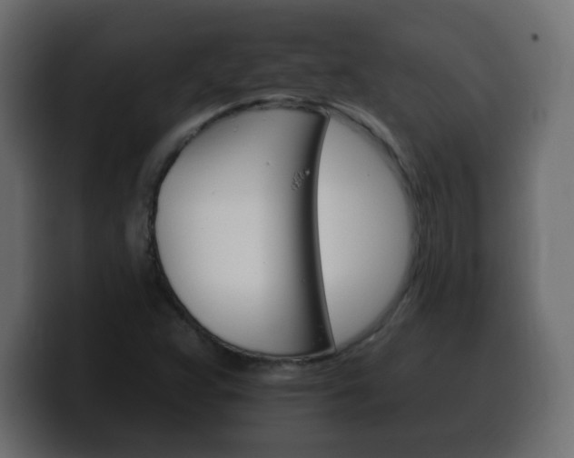 X0000100391359200806060825