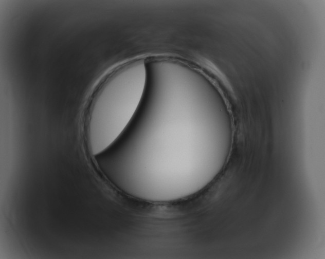 X0000100391360200806060825