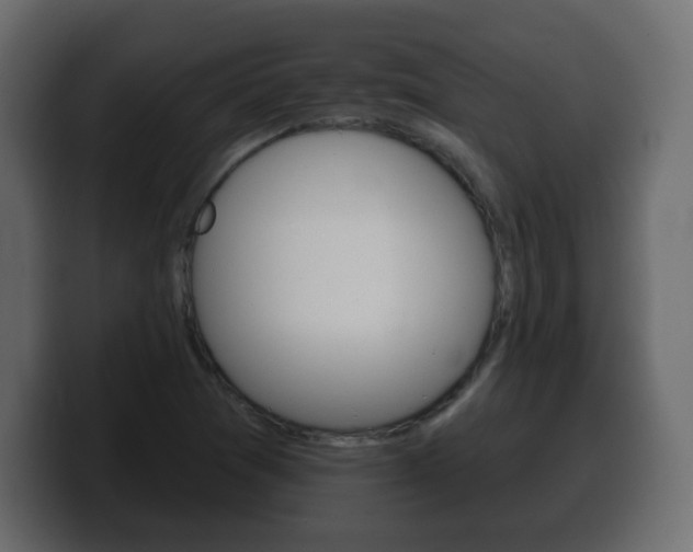 X0000100391361200806060825