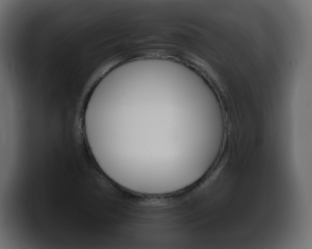 X0000100391362200806060825