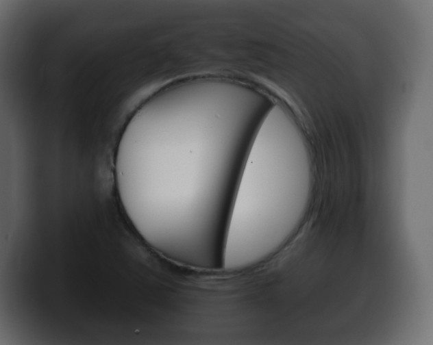 X0000100391363200806060825