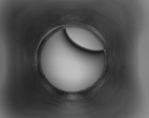 X0000100391364200806060825