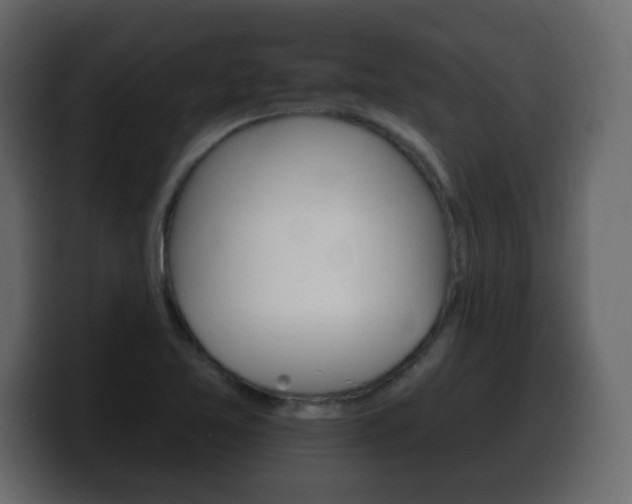X0000100391365200806060825