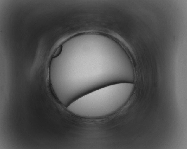 X0000100391366200806060825