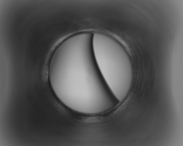 X0000100391367200806060825