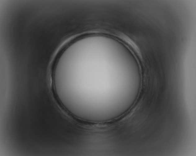 X0000100391368200806060825