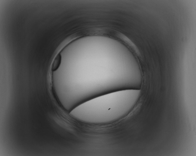 X0000100391370200806060825